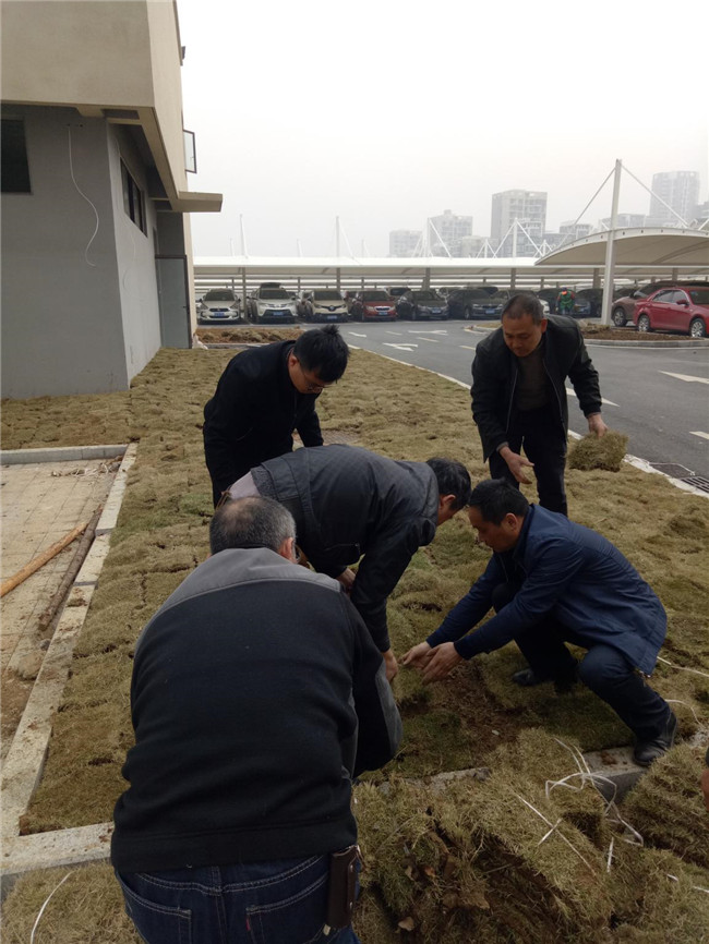 pc电子麻将胡了-(中国游)有限公司