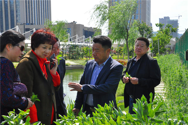 pc电子麻将胡了-(中国游)有限公司