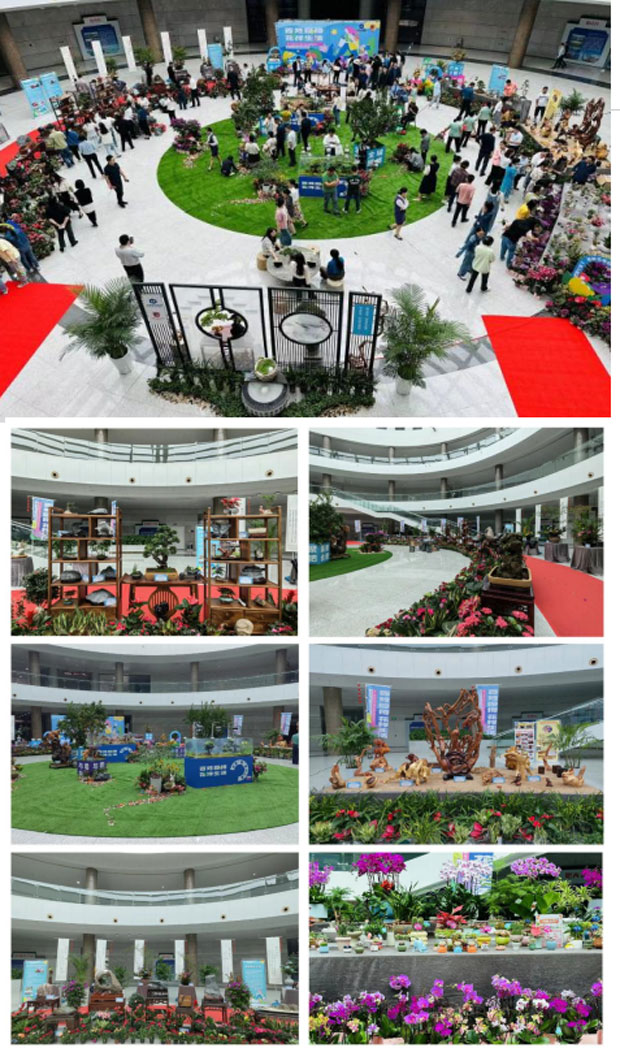 pc电子麻将胡了-(中国游)有限公司